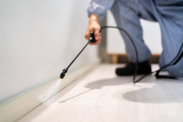 Certified termite inspector examining foundation in Atkins
