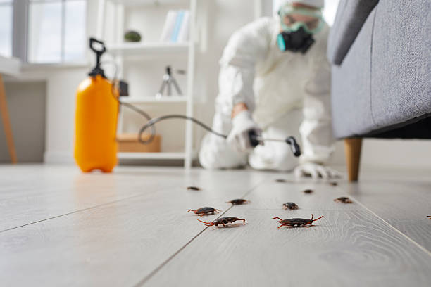 Post-Treatment Bed Bug Interceptor Monitoring in Atkins