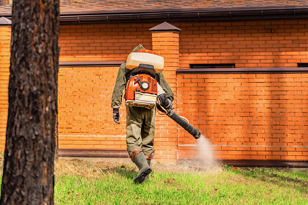 Bed Bug Clearance Verification and Documentation in Atkins